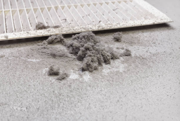 Best Affordable HVAC Duct Cleaning  in Steelevle, IL