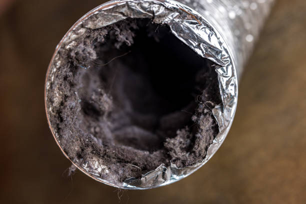 Best Air Duct Cleaning Near Me  in Steelevle, IL