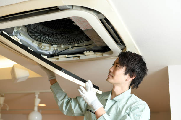 Best HVAC Duct Inspection Services  in Steelevle, IL