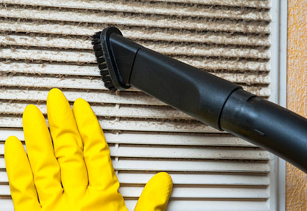Best Local Air Duct Cleaning Services  in Steelevle, IL